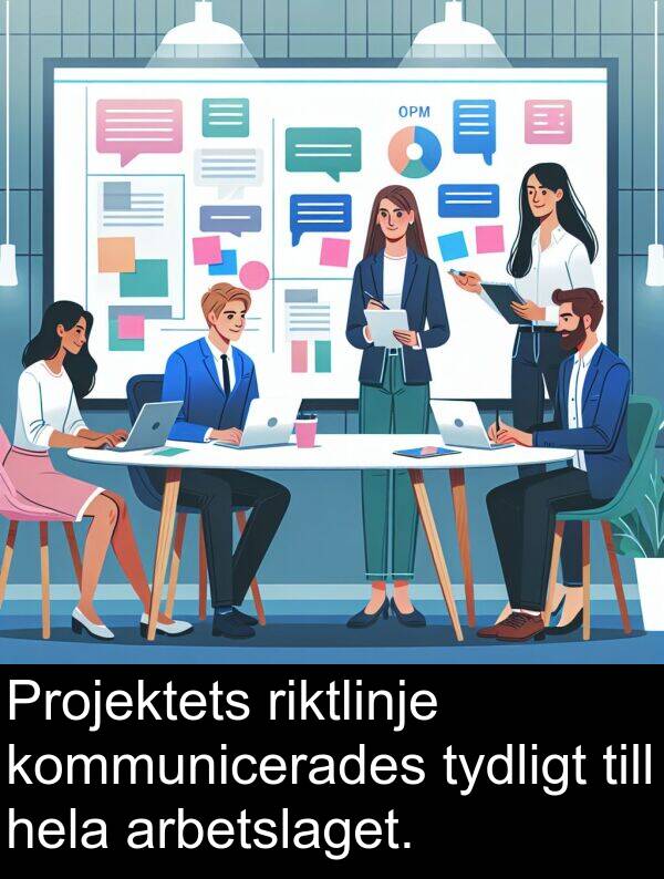 tydligt: Projektets riktlinje kommunicerades tydligt till hela arbetslaget.