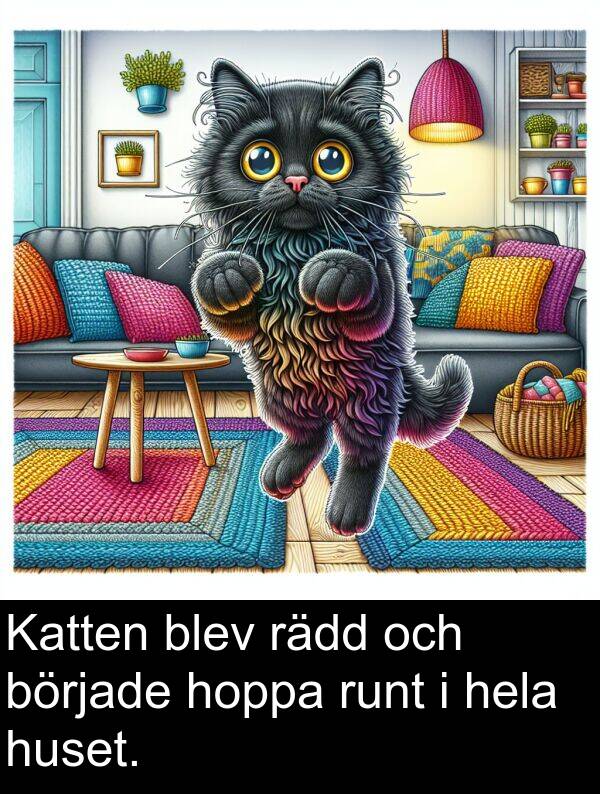 rädd: Katten blev rädd och började hoppa runt i hela huset.