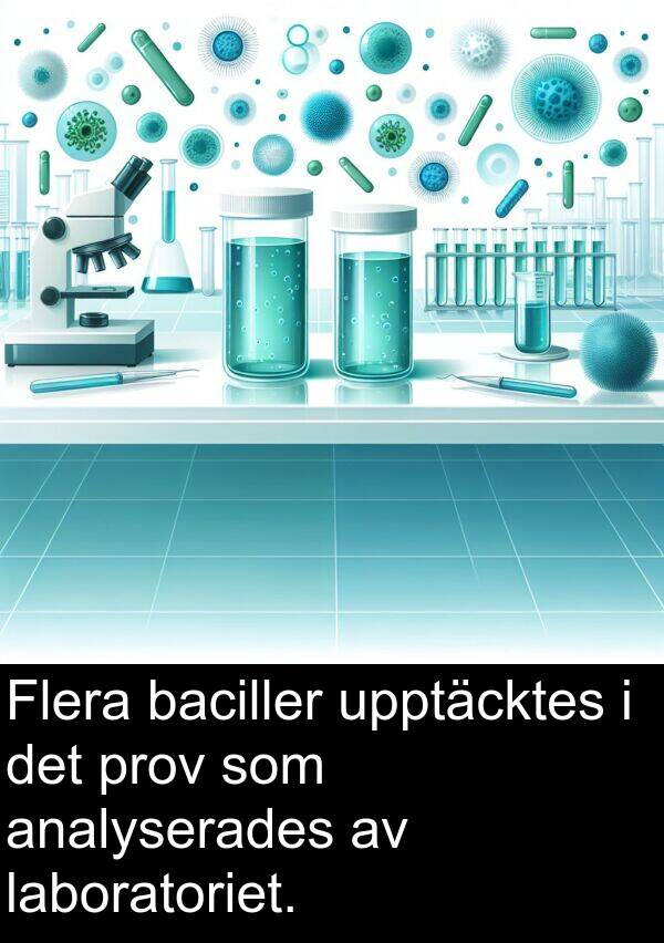 laboratoriet: Flera baciller upptäcktes i det prov som analyserades av laboratoriet.