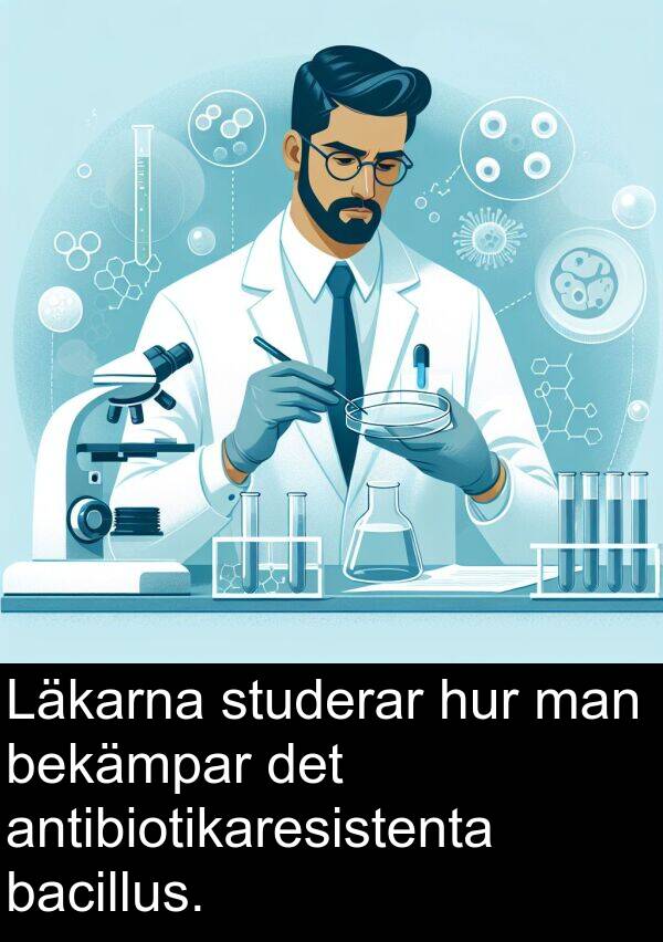 bacillus: Läkarna studerar hur man bekämpar det antibiotikaresistenta bacillus.