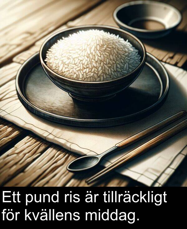 tillräckligt: Ett pund ris är tillräckligt för kvällens middag.