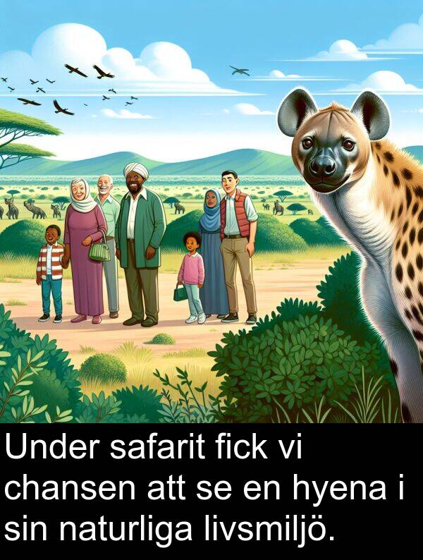 naturliga: Under safarit fick vi chansen att se en hyena i sin naturliga livsmiljö.