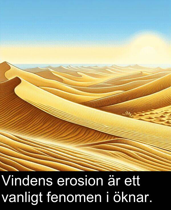 öknar: Vindens erosion är ett vanligt fenomen i öknar.
