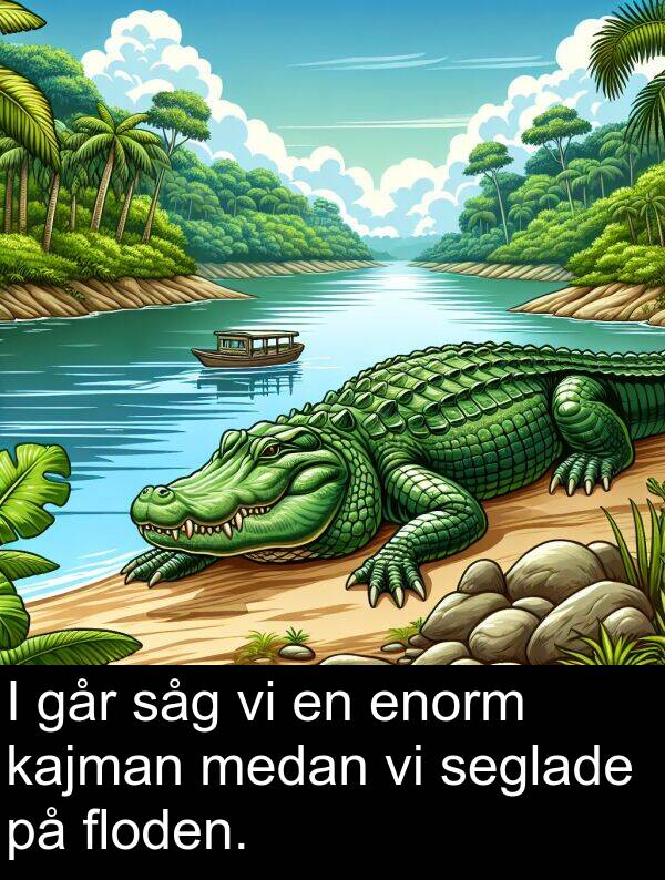 går: I går såg vi en enorm kajman medan vi seglade på floden.