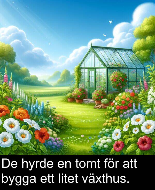 växthus: De hyrde en tomt för att bygga ett litet växthus.
