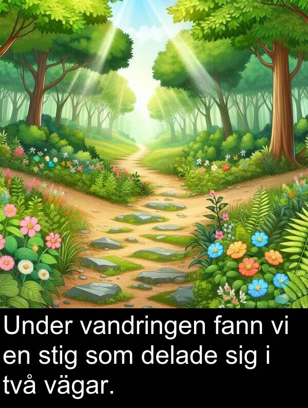 vägar: Under vandringen fann vi en stig som delade sig i två vägar.