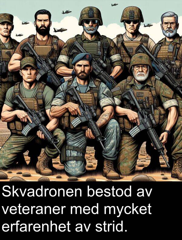 veteraner: Skvadronen bestod av veteraner med mycket erfarenhet av strid.