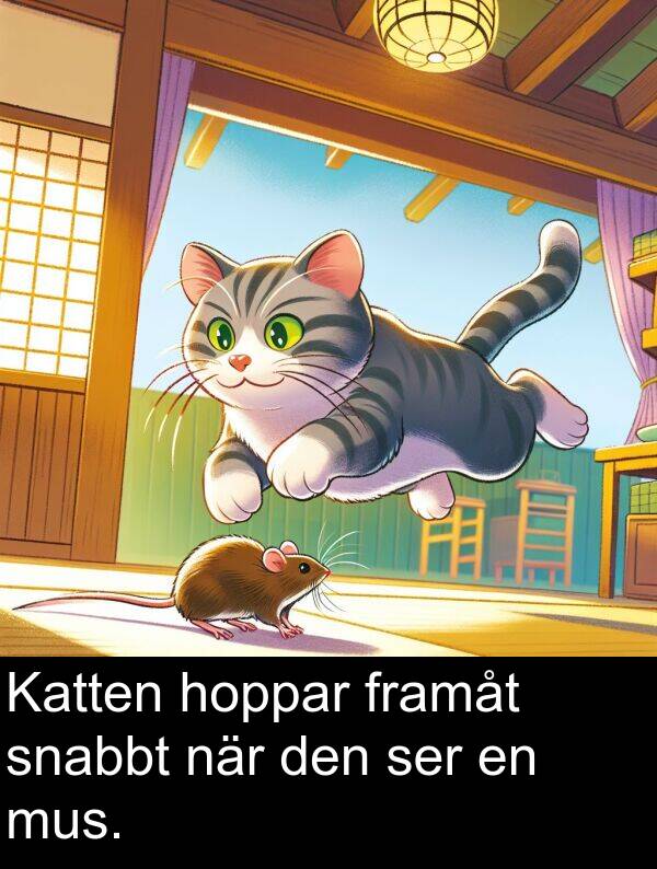 hoppar: Katten hoppar framåt snabbt när den ser en mus.