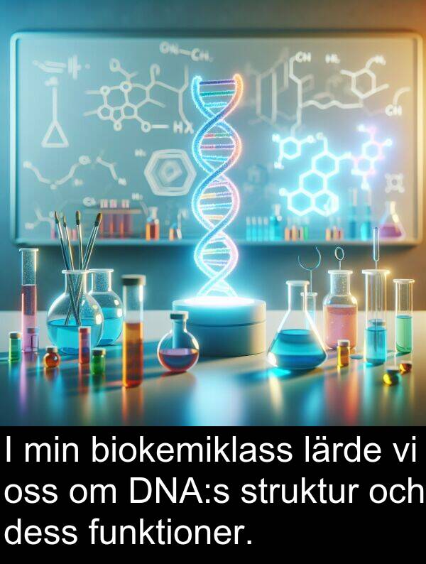 oss: I min biokemiklass lärde vi oss om DNA:s struktur och dess funktioner.