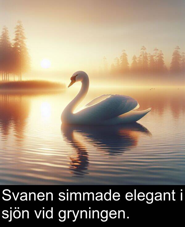 simmade: Svanen simmade elegant i sjön vid gryningen.