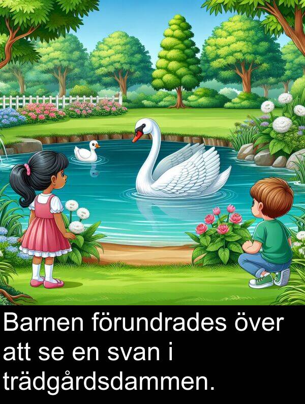 förundrades: Barnen förundrades över att se en svan i trädgårdsdammen.