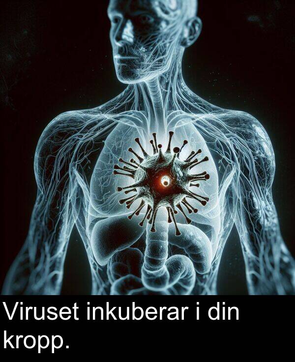 inkuberar: Viruset inkuberar i din kropp.