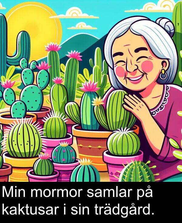 samlar: Min mormor samlar på kaktusar i sin trädgård.