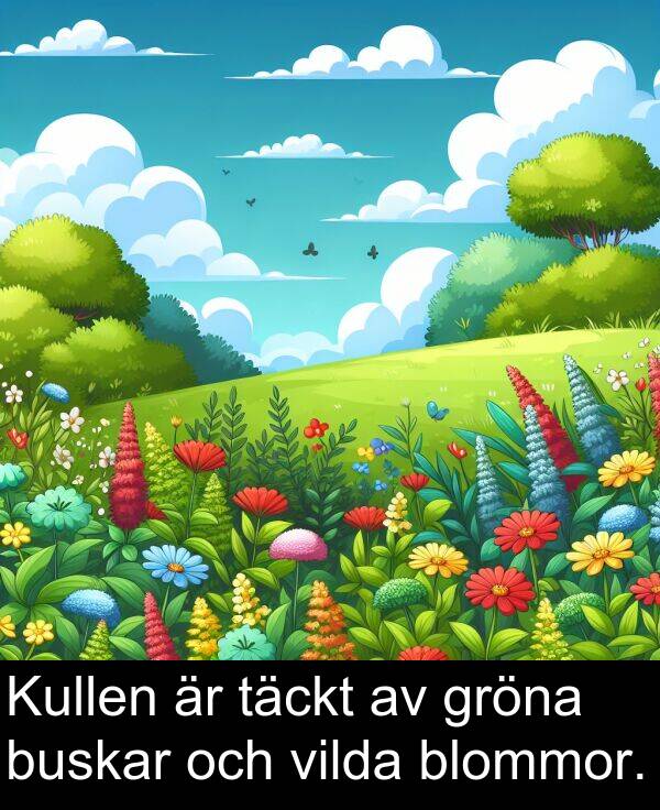 täckt: Kullen är täckt av gröna buskar och vilda blommor.