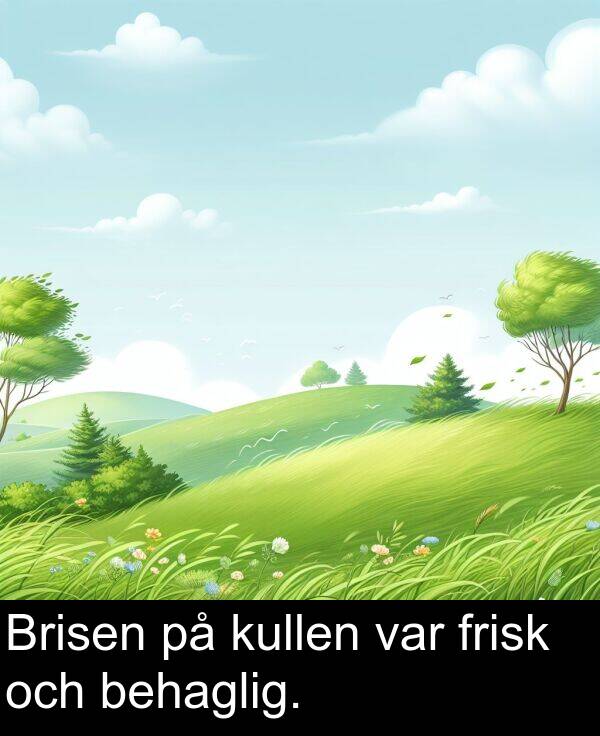 och: Brisen på kullen var frisk och behaglig.