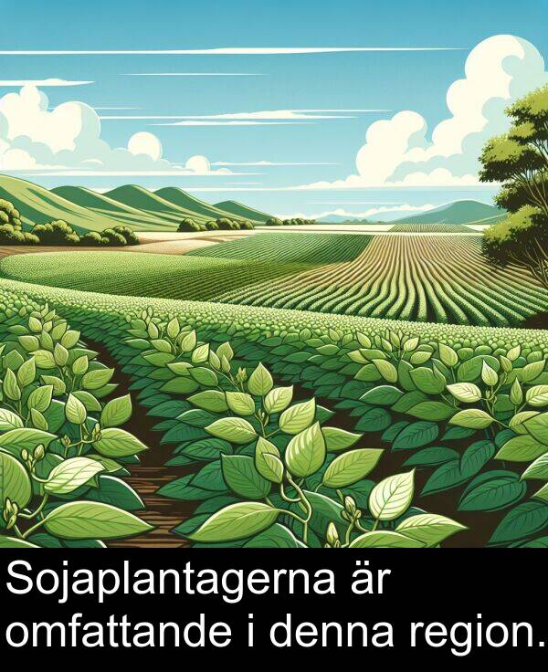 omfattande: Sojaplantagerna är omfattande i denna region.