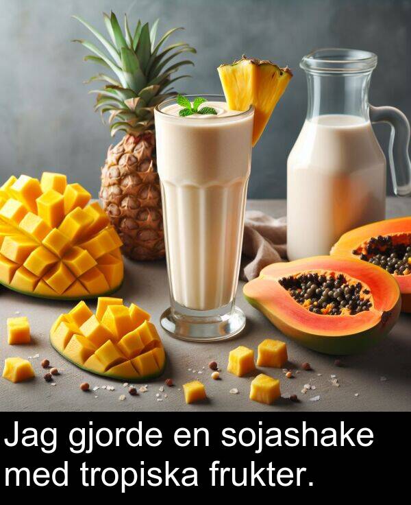 tropiska: Jag gjorde en sojashake med tropiska frukter.