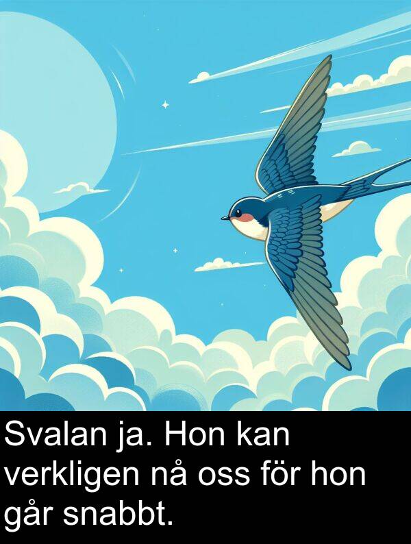 hon: Svalan ja. Hon kan verkligen nå oss för hon går snabbt.