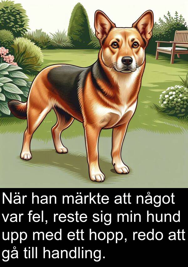 hopp: När han märkte att något var fel, reste sig min hund upp med ett hopp, redo att gå till handling.