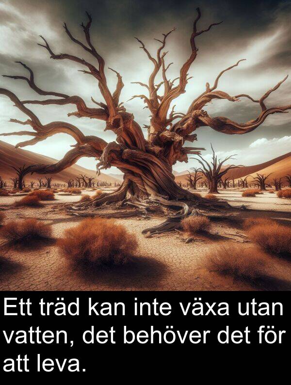 leva: Ett träd kan inte växa utan vatten, det behöver det för att leva.
