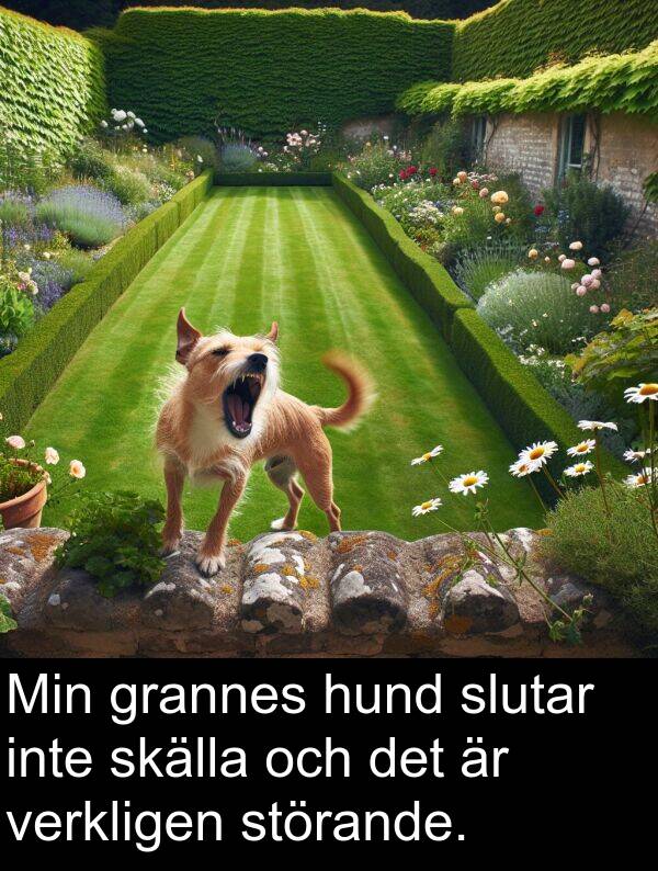 verkligen: Min grannes hund slutar inte skälla och det är verkligen störande.