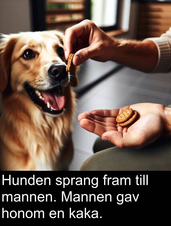honom: Hunden sprang fram till mannen. Mannen gav honom en kaka.