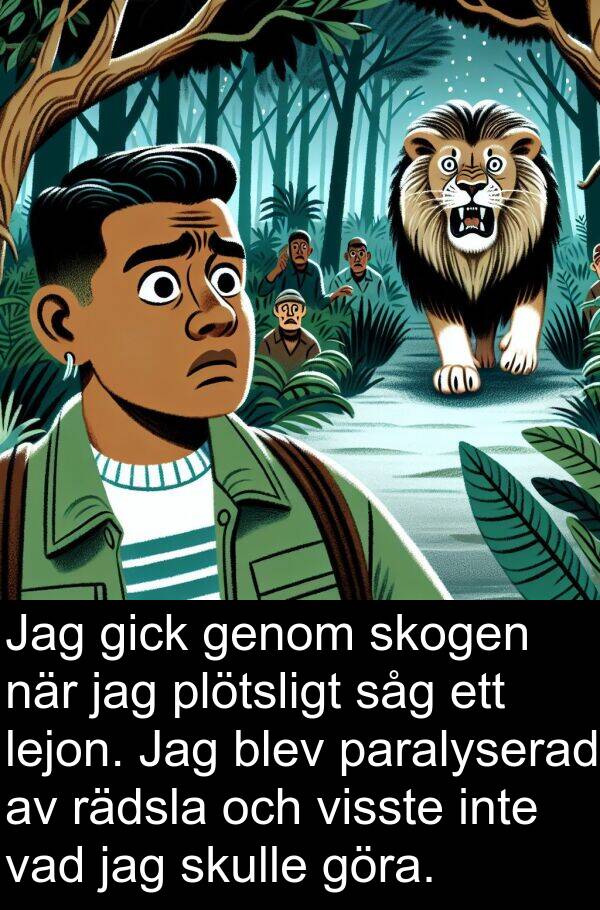 vad: Jag gick genom skogen när jag plötsligt såg ett lejon. Jag blev paralyserad av rädsla och visste inte vad jag skulle göra.