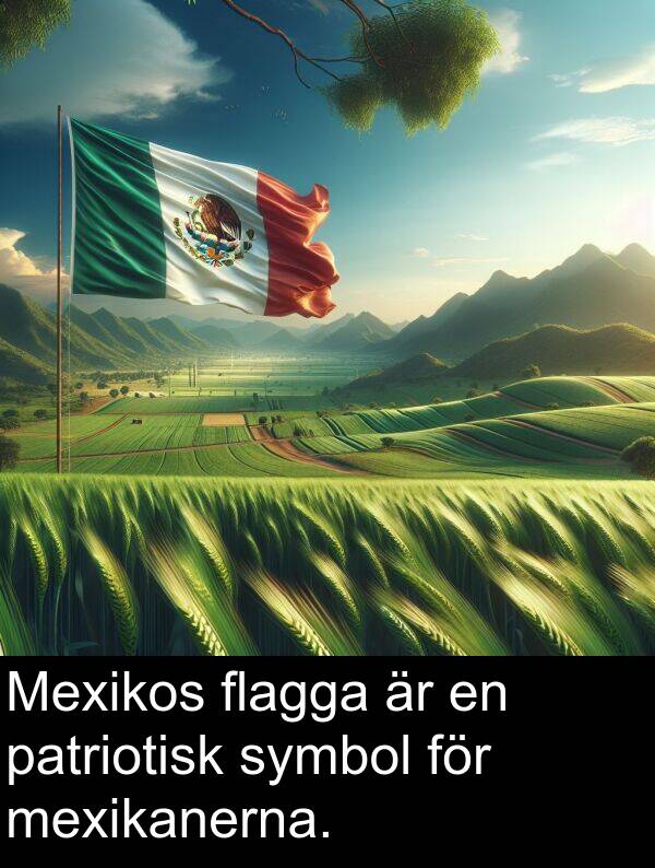 patriotisk: Mexikos flagga är en patriotisk symbol för mexikanerna.