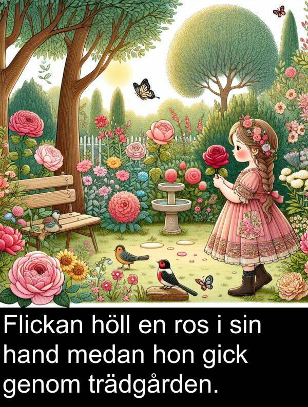 hon: Flickan höll en ros i sin hand medan hon gick genom trädgården.