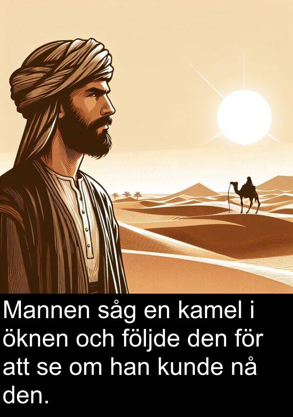 öknen: Mannen såg en kamel i öknen och följde den för att se om han kunde nå den.