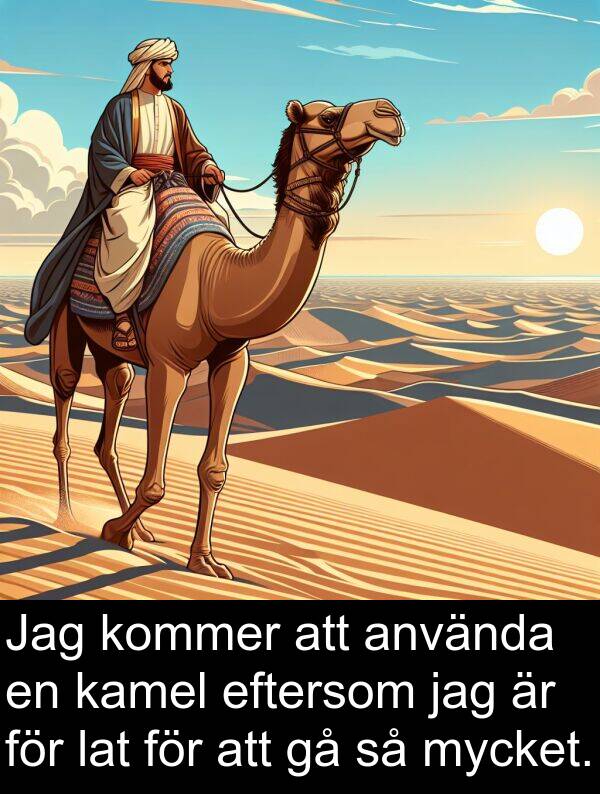 eftersom: Jag kommer att använda en kamel eftersom jag är för lat för att gå så mycket.