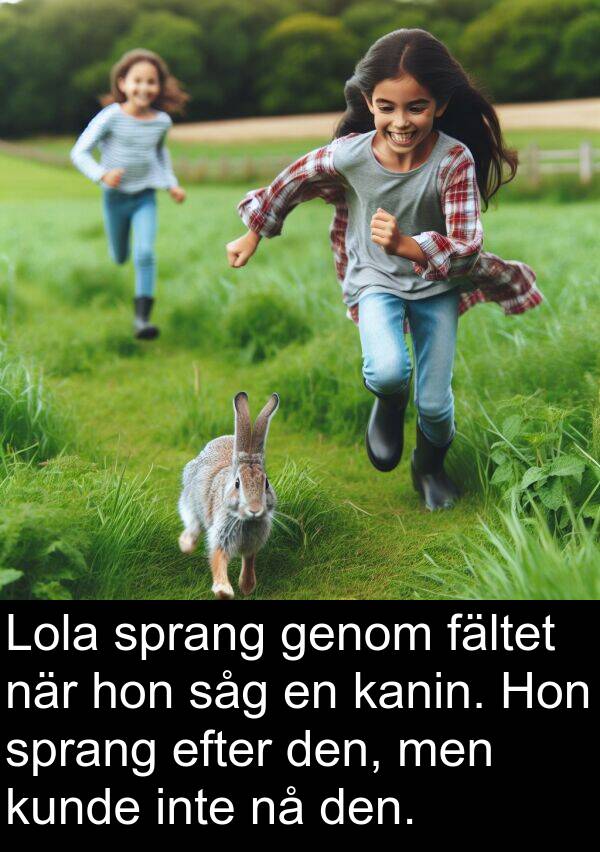 sprang: Lola sprang genom fältet när hon såg en kanin. Hon sprang efter den, men kunde inte nå den.