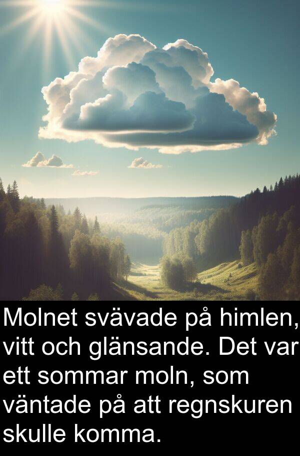 moln: Molnet svävade på himlen, vitt och glänsande. Det var ett sommar moln, som väntade på att regnskuren skulle komma.