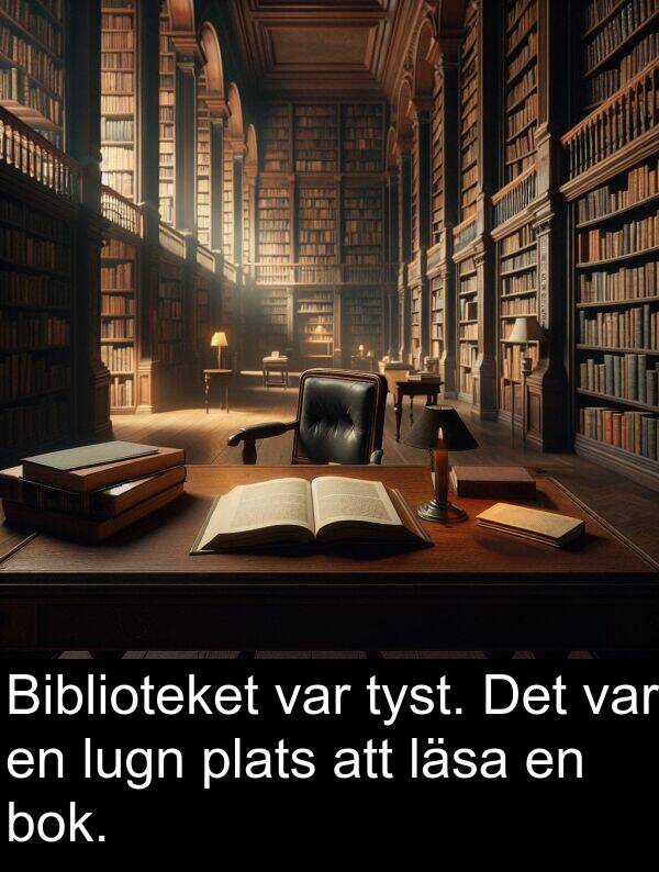 lugn: Biblioteket var tyst. Det var en lugn plats att läsa en bok.