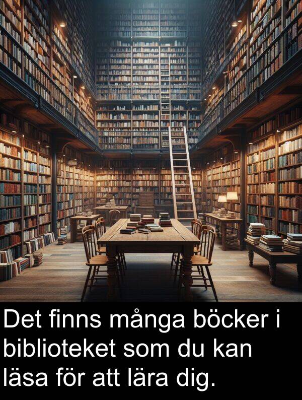 böcker: Det finns många böcker i biblioteket som du kan läsa för att lära dig.