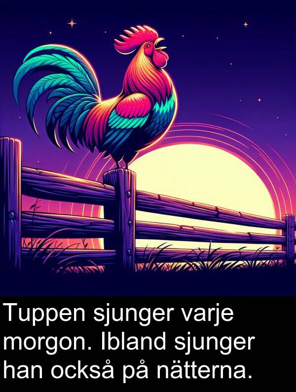 också: Tuppen sjunger varje morgon. Ibland sjunger han också på nätterna.