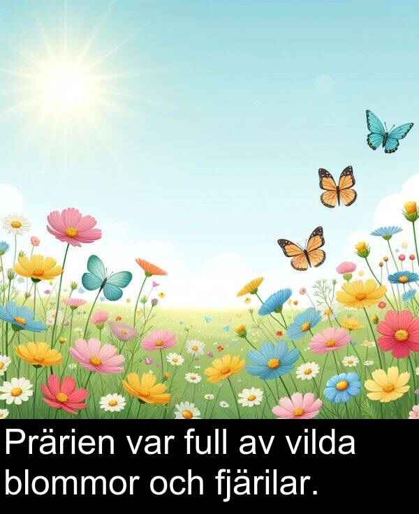 vilda: Prärien var full av vilda blommor och fjärilar.