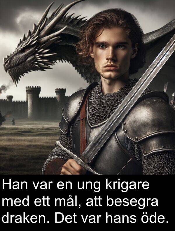 öde: Han var en ung krigare med ett mål, att besegra draken. Det var hans öde.