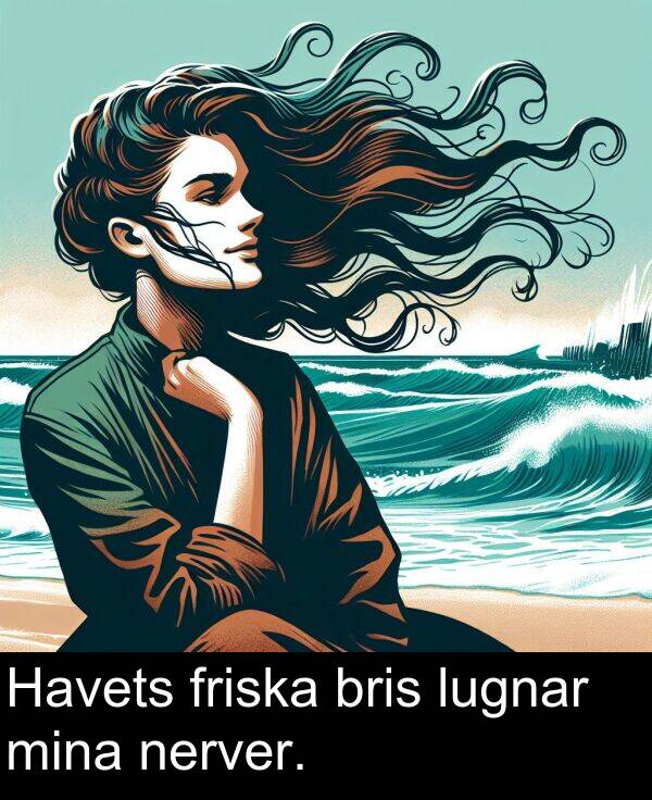 lugnar: Havets friska bris lugnar mina nerver.