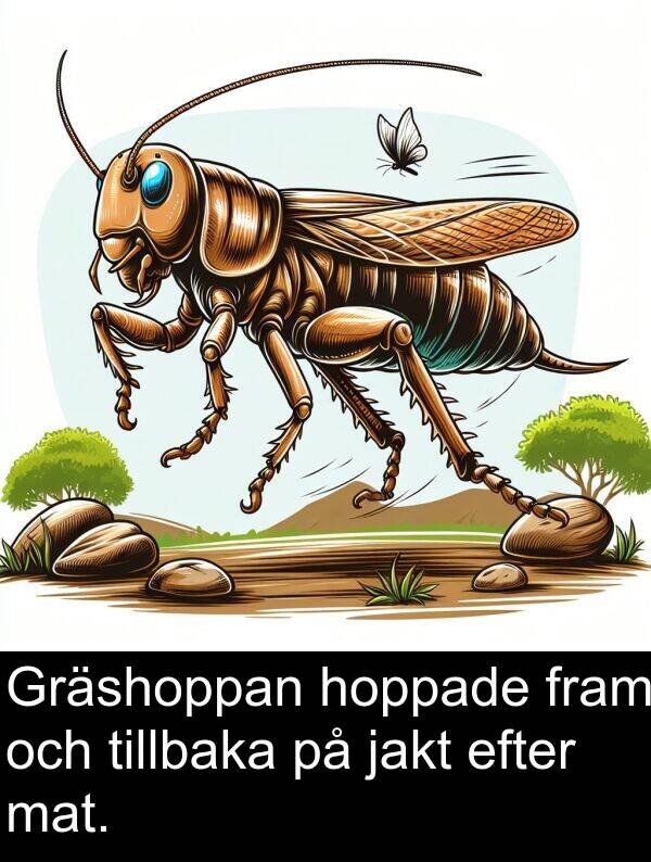 hoppade: Gräshoppan hoppade fram och tillbaka på jakt efter mat.