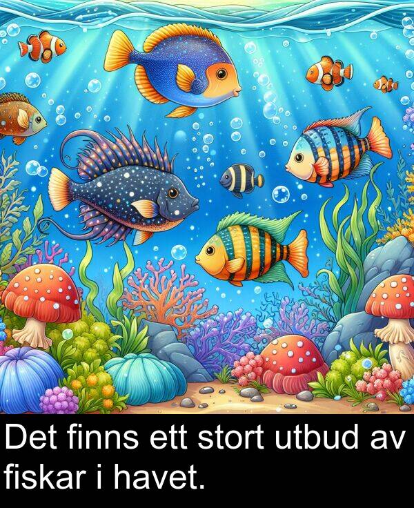 finns: Det finns ett stort utbud av fiskar i havet.