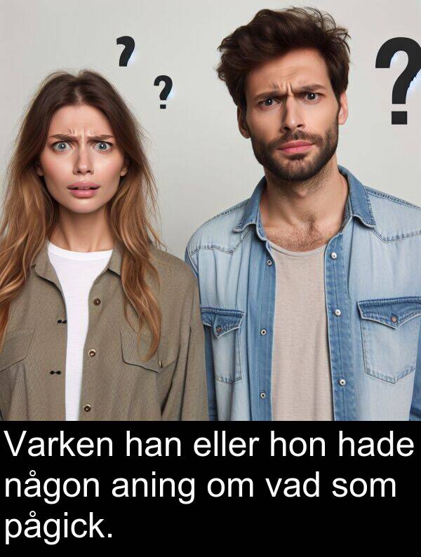 hon: Varken han eller hon hade någon aning om vad som pågick.
