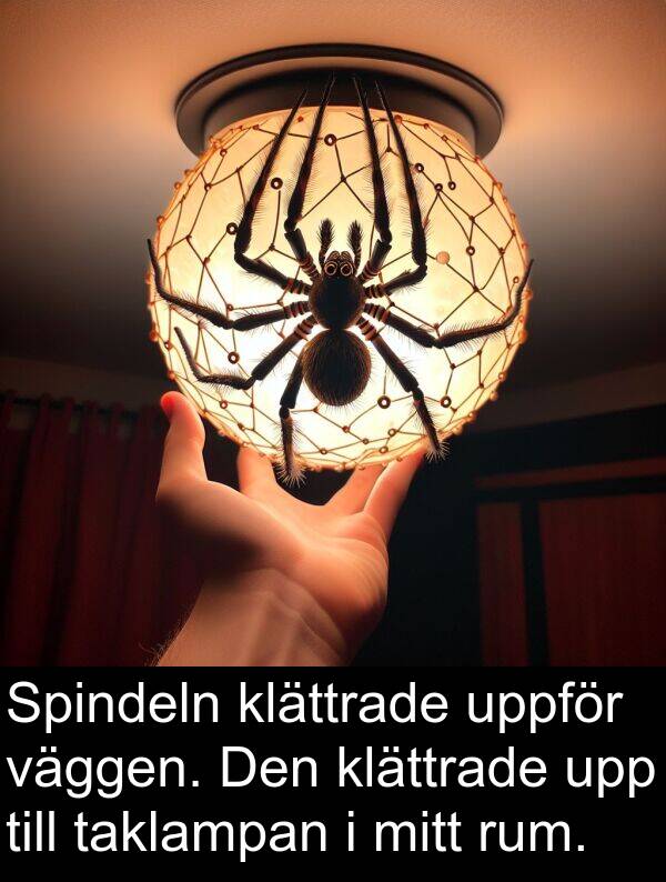 taklampan: Spindeln klättrade uppför väggen. Den klättrade upp till taklampan i mitt rum.