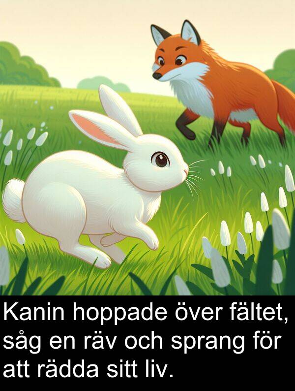 hoppade: Kanin hoppade över fältet, såg en räv och sprang för att rädda sitt liv.
