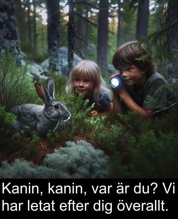 överallt: Kanin, kanin, var är du? Vi har letat efter dig överallt.