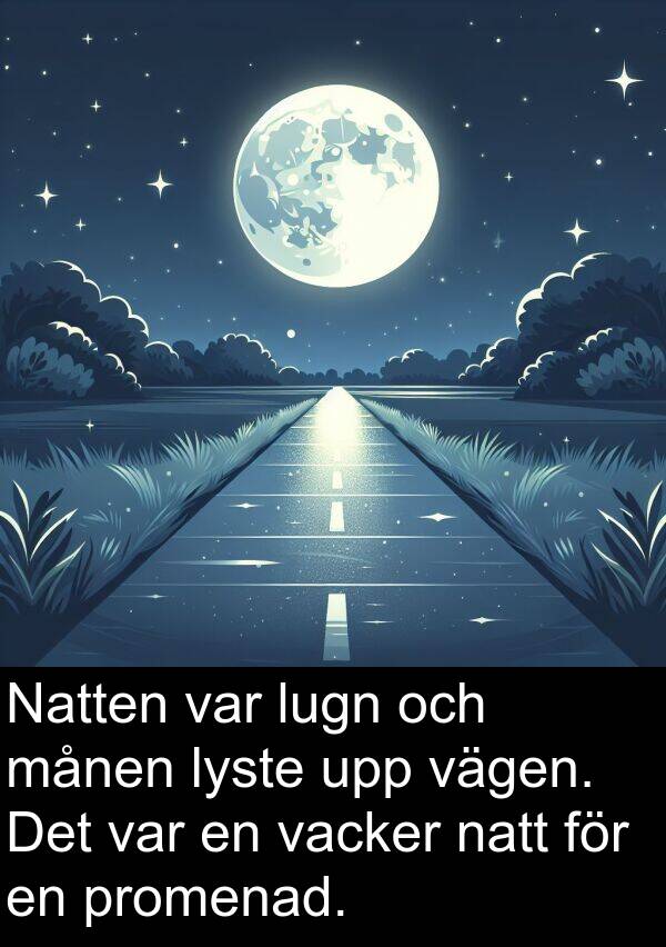 vägen: Natten var lugn och månen lyste upp vägen. Det var en vacker natt för en promenad.