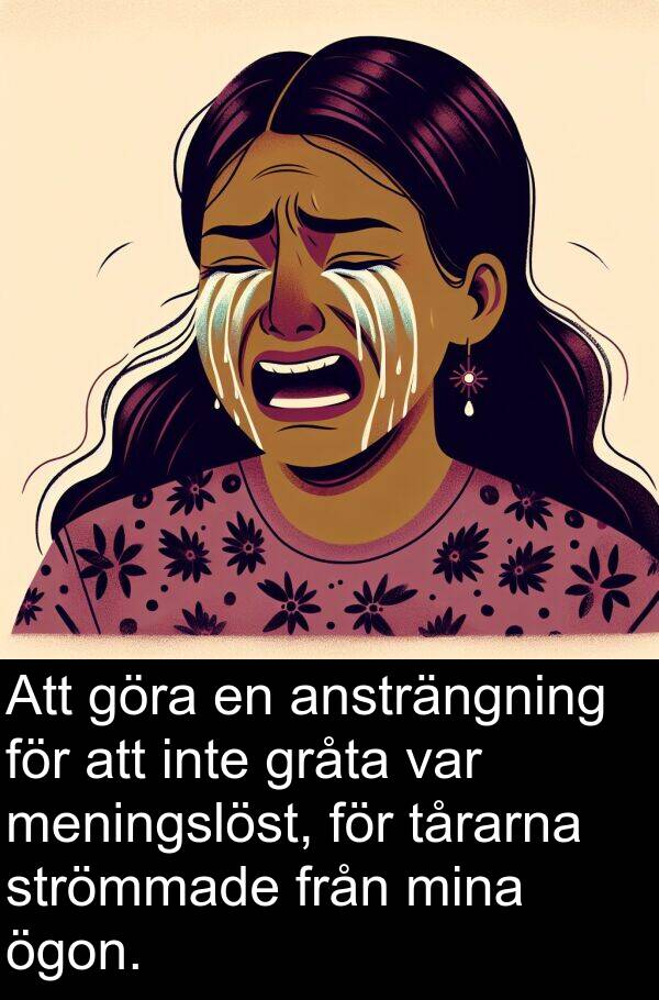 tårarna: Att göra en ansträngning för att inte gråta var meningslöst, för tårarna strömmade från mina ögon.