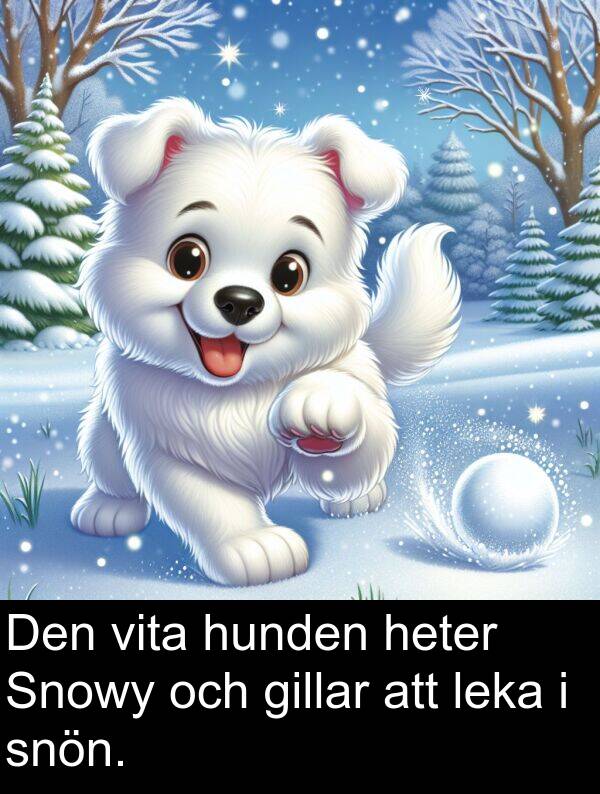 snön: Den vita hunden heter Snowy och gillar att leka i snön.