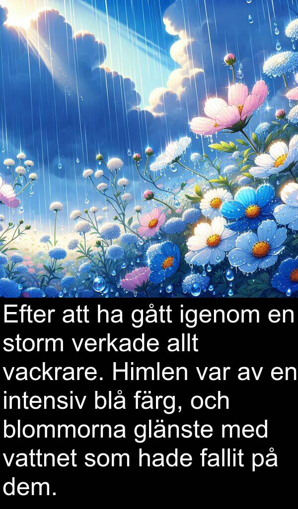 igenom: Efter att ha gått igenom en storm verkade allt vackrare. Himlen var av en intensiv blå färg, och blommorna glänste med vattnet som hade fallit på dem.
