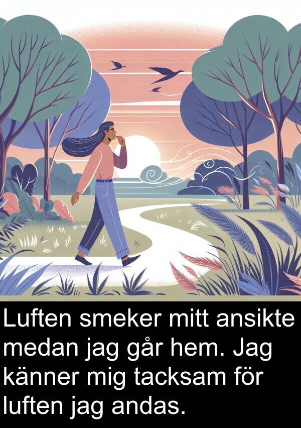 tacksam: Luften smeker mitt ansikte medan jag går hem. Jag känner mig tacksam för luften jag andas.